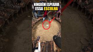 Ninguém esperava a escolha que esse coelho faria! 😳