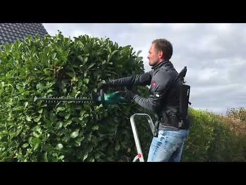 Heckenschneiden mit Paexo Schulter