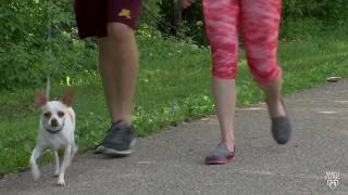 Mayo Clinic Minute: 6 tips to keep you motivated for exercise