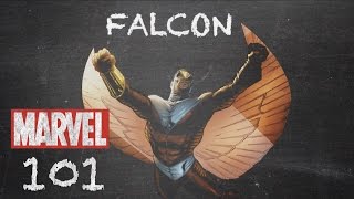 From a Bird's Eye View - The Falcon