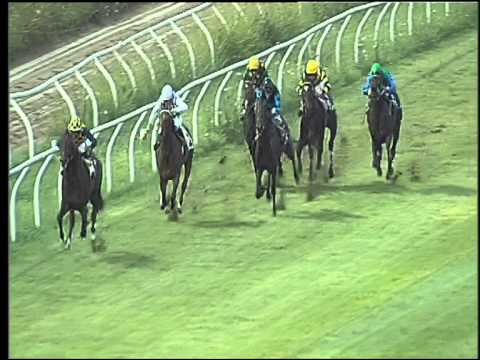 Galoppo 18/07/2015 - 2° corsa Criterium Partenopeo