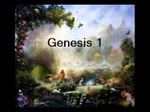 God creates the birds and   fish