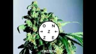 Pantha Du Prince - Photon (onzze.fr)