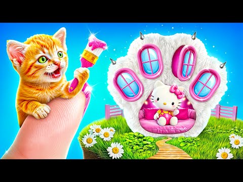 Hello Kitty Evsiz Bir Yavru Kedi İçin Ev İnşa Etti!