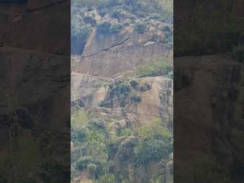 Argentina - San juan - San Agustin de Valle Fertil #petroglifos