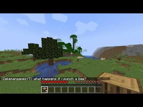 "What happens if I punch a bee?"