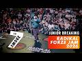 Junior Breaking X 7 To Smoke Stance X RADIKAL FORZE 2026