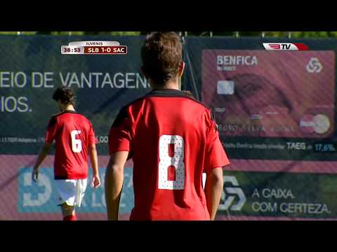 Momentos Pedro Pinto