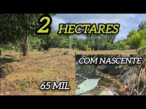  2 HECTARES COM NASCENTE 65 MIL #AVENDANABAHIA #ILHEUS 