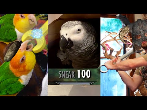 Apollo Put All His Skill Points Into Speech