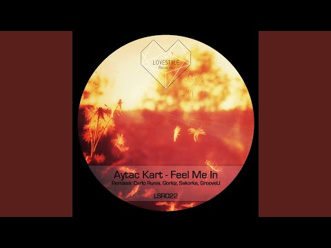 Feel Me In (Carlo Runia Remix)