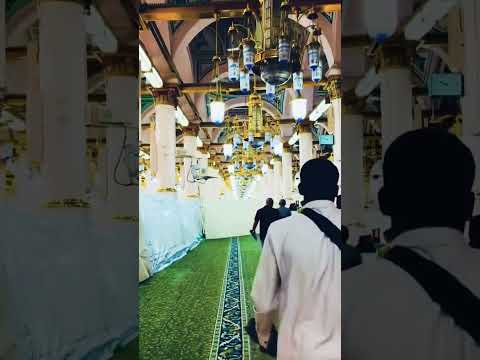 The Rawdah Mubarak or The Noble Garden#madinah #islamicshorts #rawdah