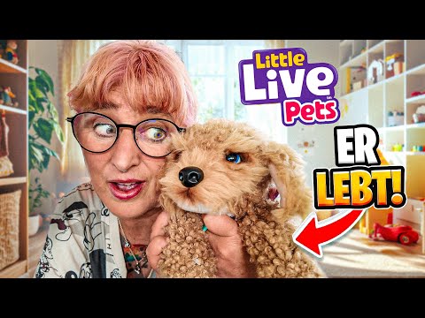 THIS Interactive PUPPY can do it all!🤩🐕 Little Live Pets Puppy