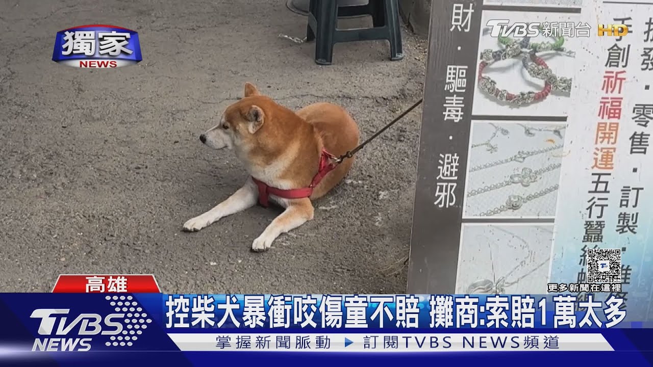 獨／4歲女童逛花市被柴犬咬！　母控攤商態度差　飼主：索賠1萬太多