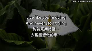 Lenka  - Live Like You’re Dying 中英文歌詞翻譯
