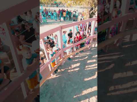 ¿Cómo Celebra Paraguay sus Legendarias Corridas de Toros en el Chaco Paraguayo?