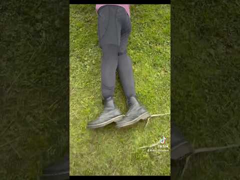 Immer diese Shettys😂 #comedy #horse #pferd #funny #equestrian #shetty