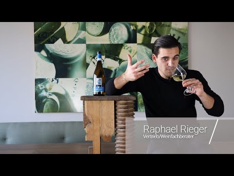 Wein erklärt: Lugana DOC Arco dei Giovi Sartori Venetien