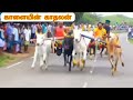 அருமையான ஓட்டு