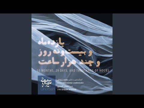 11 Months, 29 Days, And Thousands of Hours