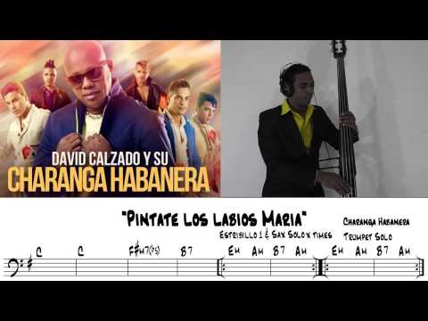 Pintate los labios María. Bass Cover por Emilio Labardi Lopez de Cuba.