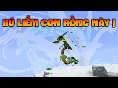 How to Mega Evolve Rayquaza Pixelmon 1.16.5