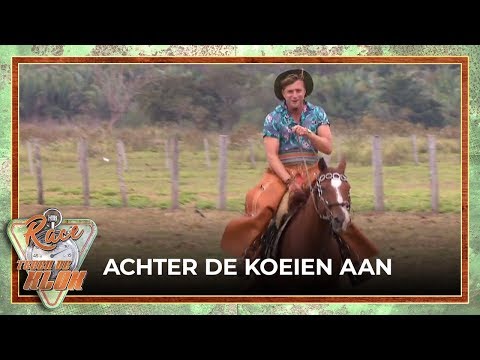 Jan Versteegh en paarden NIET samen... | Race tegen de Klok