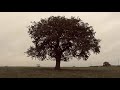 Paris Paloma Village Song Official Audio
