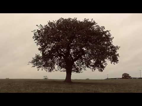 Village Song - Paris Paloma