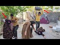Tension in Asghar's life: Attacking the evil second wife to save Zainab!