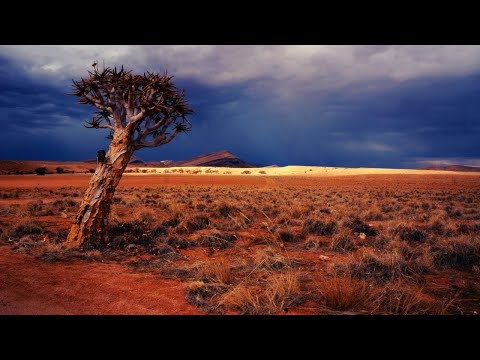 Collé & Oluhle – Owami