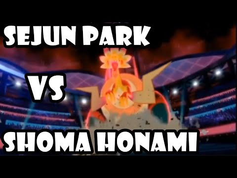 FINAL TORNEO INVITATIONAL: Sejun Park (Worlds 2014) VS Shoma Honami (Worlds 2015) / VGC 2020