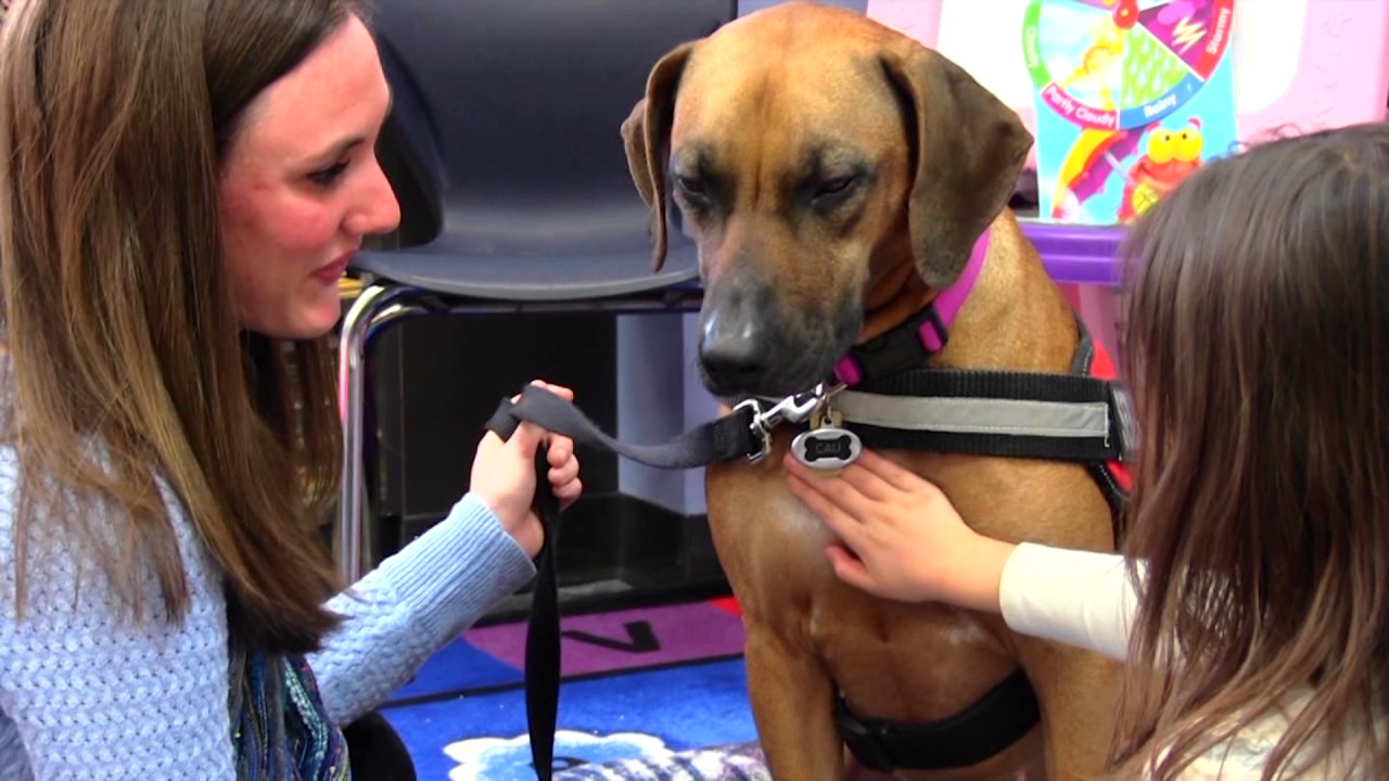 The Calais Foundation: Who We Are