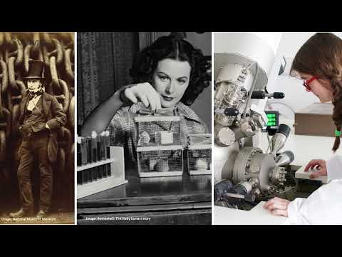 WMG Talks: What is WMG Talks?