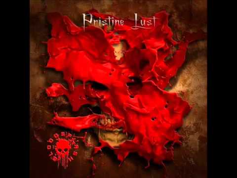 BLOODSPLASH - Vocation