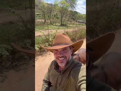 Indo pra Santo Hipólito-Mg e Corinto-Mg🐴🐴🐴🐴