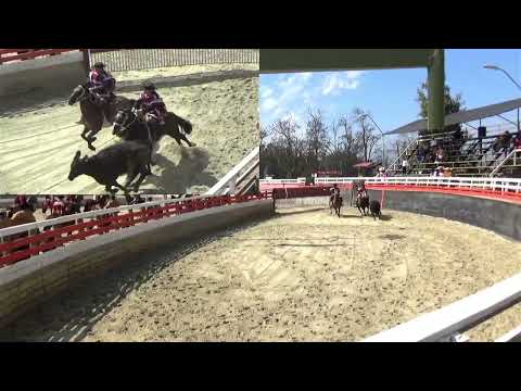 1ra SERIE RODEO CLUB CASABLANCA ASOC. VALPARAISO FEROCHI