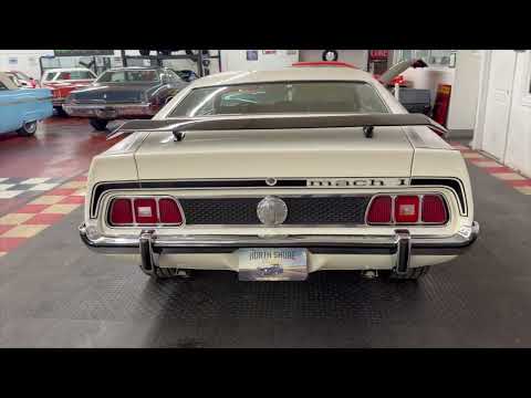 1973 Ford Mustang (CC-2055863) for sale in Mundelein, Illinois