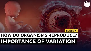 The Importance of Variation | Chapter 8 | Class 10 | PuStack