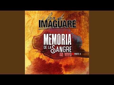 Posadeña Linda (En Vivo)