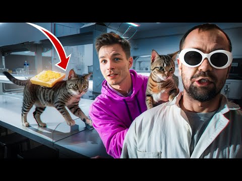 NEKONEČNÝ POHON: KOČKA + CHLEBA S MÁSLEM = ELEKTRICKÁ REVOLUCE ⚡😱