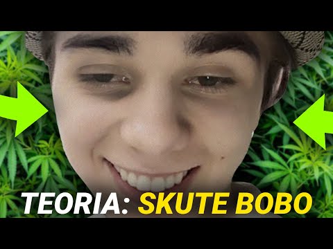 teoria: O CO CHODZI ZE SKUTE BOBO? (Hotel Mafija 2)