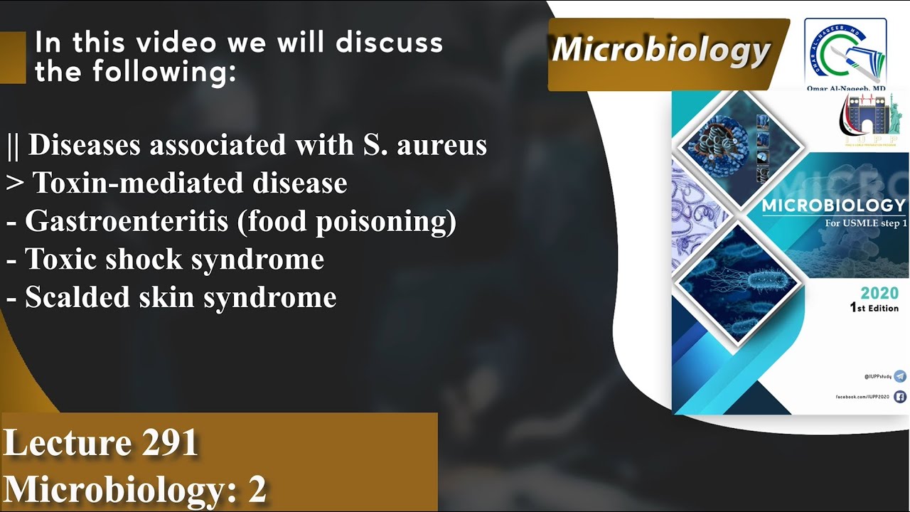 Gastroenteritis | Toxic shock syndrome | Scalded skin syndrome