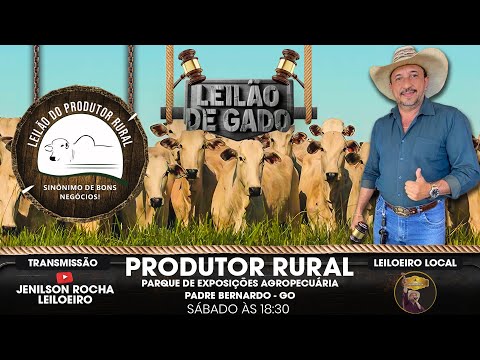 LEILÃO DO PRODUTOR EM PADRE BERNARDO-GO 18/10/2025 LIVE JENILSON ROCHA