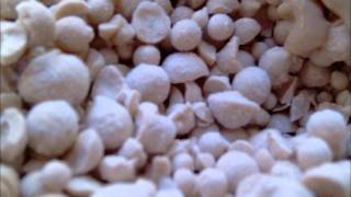 Chase Coy- Losing Sleep Cover