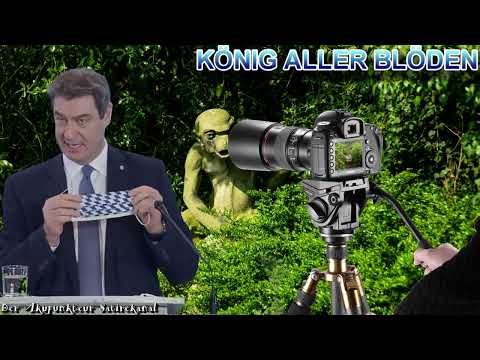 Blöd blöder Söder