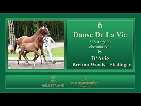 6 Danse De La Vie by D'Avie - Bretton Woods - Stedinger