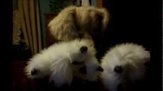 A Love Like Mine- Plug In Stereo