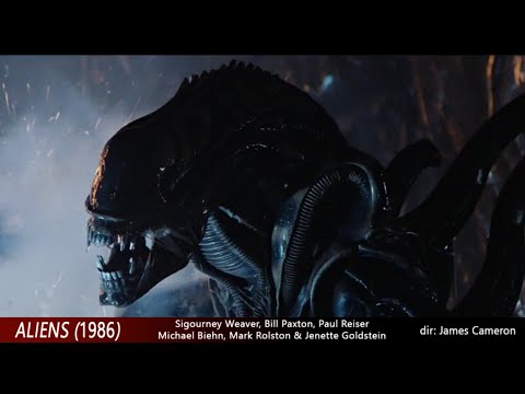 DRAKE! WE ARE LEAVING!!