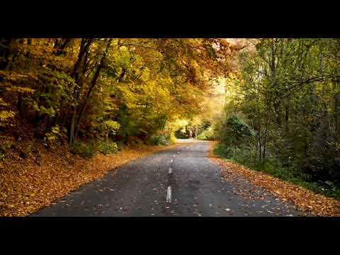 🔴Relaxing music, Stress relief music, Sleep music, Calm music, Meditation music...